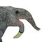 Deinotherium Mammal Head