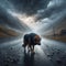 Dejected dog walks the streets in torrential rain