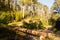 Delatite River Trail at Mt Buller