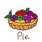 Delectable Fruit Pie Delight: Hand-Drawn Illustration with Fresh Blueberries, Strawberries, and Grapes