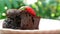 Delectable Torta Caprese or Flourless Chocolate Cake