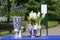 Delft blue vases with hyacinth flowers closeup in the keukenhof gardens in holland