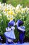 Delfts blue couple kissing with daffodil background