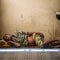 DELHI, INDIA-AUGUST 29: Hindu sleeping on the street on August 2