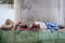 DELHI, INDIA-AUGUST 29: Hindu sleeping on the street on August 2