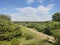 Deliblato Serbia green landscape in spring