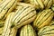 Delicata Squash