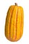 Delicata Squash