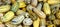 Delicata squash is a variety of winter squash with cream-coloured cylindrical fruits striped