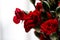 Delicate artistic closeup bouquet of blooming Carnation Dianthus Caryophyllus, or Clove Pink flower.