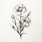 Delicate Black And White Carnation Floral Illustration