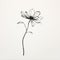 Delicate Black And White Flower Drawing On White Background