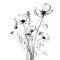 Delicate Black And White Wild Flower Drawing: Minimalist And Timeless Artistry