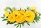 Delicate blossoming yellow ranunculus flowers, blooming festive fall frame background, autumn bouquet floral card