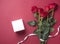 Delicate bouquet of red roses lies on a red background with white pure box present. Valentines day