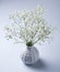 Delicate bouquet of white gipsophila is in a gray vase on a gray background