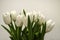 Delicate bouquet of white tulips on stems with sharp green leaves