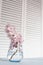 Delicate branch with pink cherry flowers, sakura in a transparent glass against the background of  shutters on the window. D