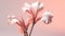 Delicate Canna Flower Sculpture On Pink Gradient Background