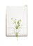 Delicate card with flowers