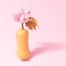 Delicate cherry flowers with yummy butter squash blooming concept. Lovely baby pink background