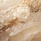 Delicate Chromatics: A Slimy Marble Texture In Shades Of Brown And Beige