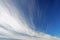 Delicate cirrus clouds in the sky