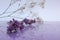 Delicate composition of lilac flowers with reflection on a soft blurred background