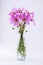 Delicate Cosmos pink flowers in glass vase