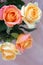 Delicate cream colored roses flowers on light background