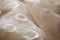 Delicate creamy beige organza textile background with circles