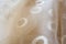 Delicate creamy beige organza textile background with circles