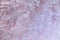 Delicate curly pink fur background with darker hues in upper left fading to very light pink in lower right