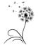 Delicate dandelion with flying seeds. Lonely flower with thin stem and leaves. Black outline drawing on white background. Vector