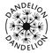 Delicate dandelion logo icon, simple style.