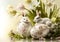 A delicate Easter composition with two cute white bunny rabbits,  Easter eggs with flower designs on them and tulip flowers.