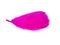 Delicate elegant magenta feather isolated on the white background