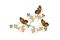 Delicate embroidery with butterflies on twisted stems with leaves and yellow flowers on white background