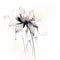 Delicate Fantasy Worlds: Black And White Flower On White Background