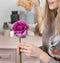 Delicate female hands holding a purple ranunculus flower. Pink chest of drawers in the background. Flower shop, a family