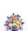 Delicate floral arrangement - spring yellow and purple flowers on a white background.