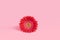 Delicate flower of red gerbera in the center of the frame against the backdrop of lively coral pastels with copy space. The