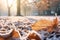 delicate frost on autumn leaves on the ground