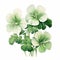 Delicate Green And White Floral Arrangement With Hyper-realistic Geranium Illustrations