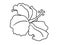 Delicate Hibiscus Flower - beautiful tropical flower - vector linear picture for coloring. Outline. Hand drawing.