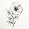 Delicate Hibiscus Flower Drawing In Ink On White - Exquisite Realism