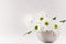 Delicate home decor with fresh garden summer flowers - chamomile in elegant metallic silver bowl on white wood table, closeup.