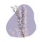 Delicate illustration of outline sketch of wild herbs with thorns on gentle pastel color spot. Vector natural contour fashion