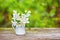 Delicate jasmine flowers in vase