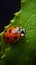 Delicate ladybug on green leafs edge, a vibrant miniature spectacle